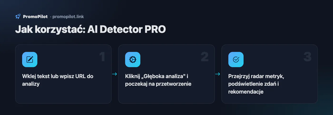 Schemat: Jak korzystać — AI Detector PRO