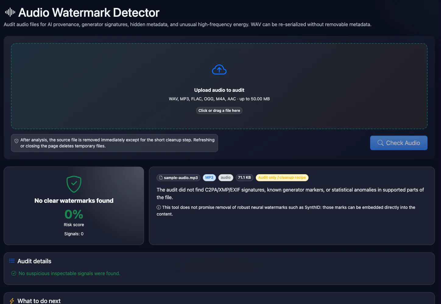 Audio Watermark Detector: checking a test audio file — interface and result