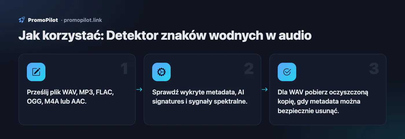Schemat: Jak korzystać — Detektor znaków wodnych w audio