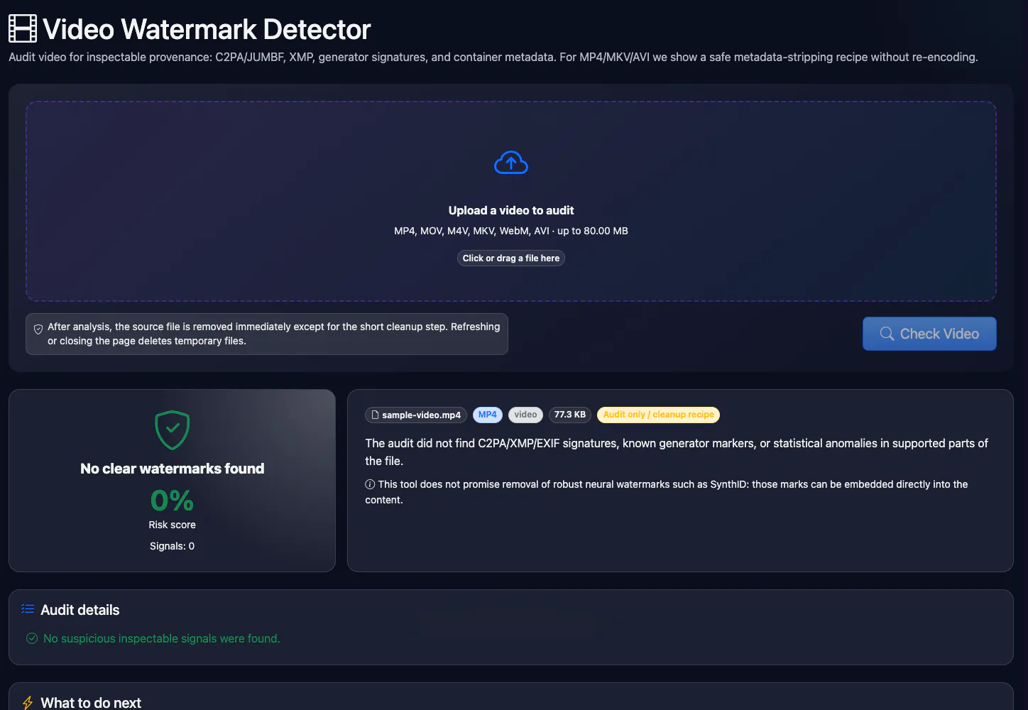 Video Watermark Detector: checking a test video — interface and result